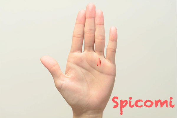 薄い太陽線が複数ある