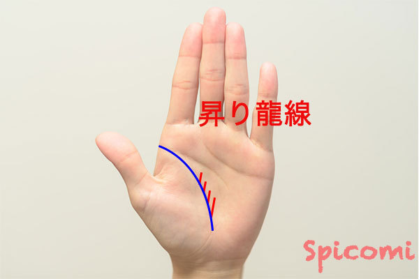 昇り龍線(努力開運線)の形と意味