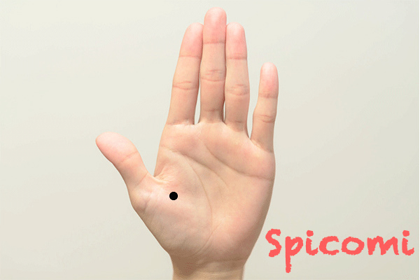 金星丘にほくろがある