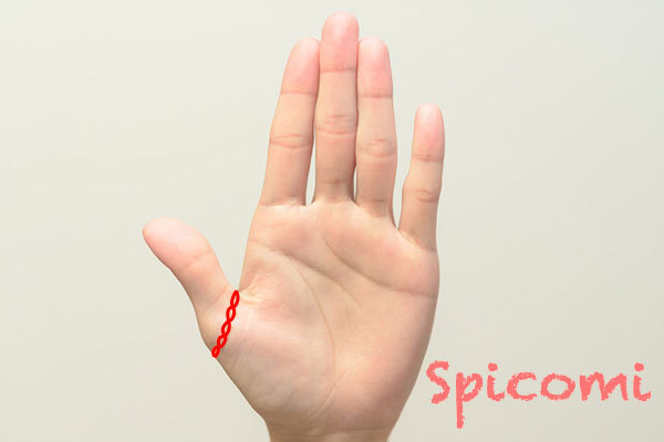 ファミリーリング