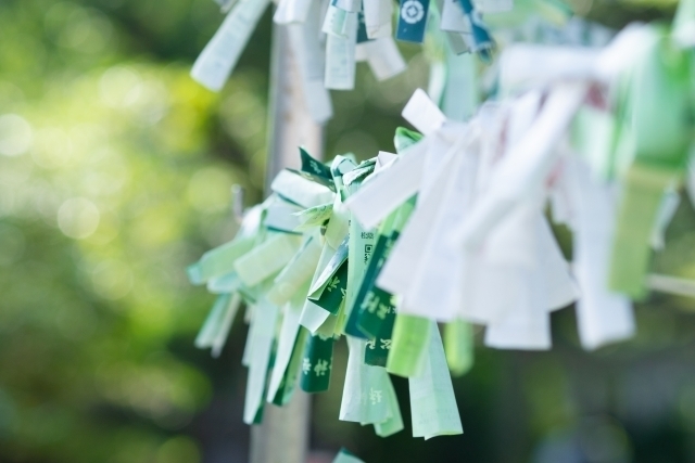 おみくじ 引く回数