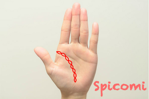 手相占いで生命線の全部が鎖状