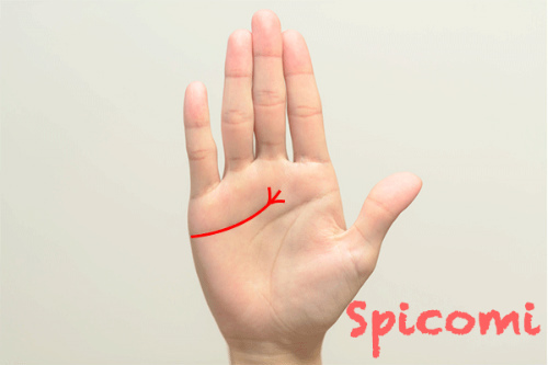 右手にあげまん線がある