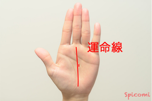［手相占い］平行する短い線がある運命線