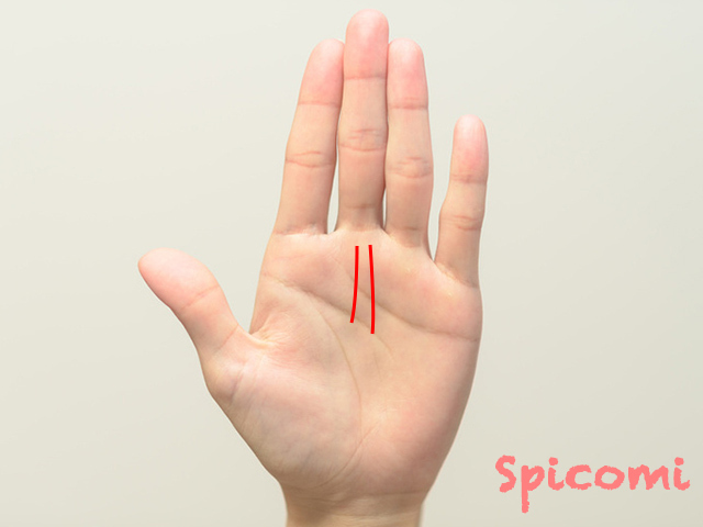 運命線2本が短い［手相占い］