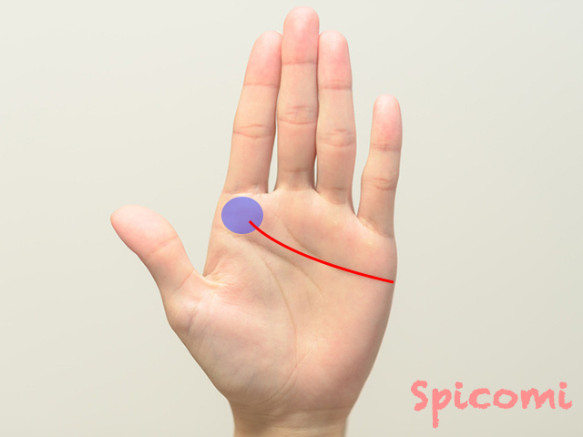 木星丘に達する感情線