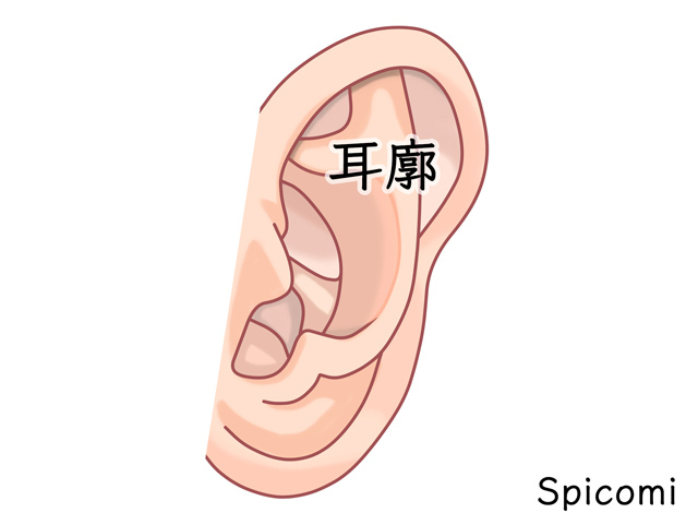 耳廓のニキビ占い