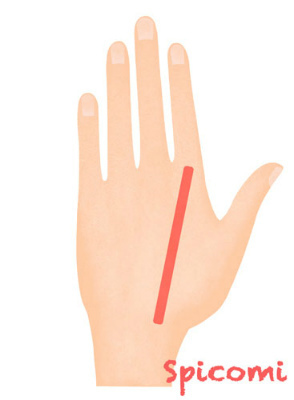 ［ほくろ占い］手の甲で左手人差し指の延長線上にあるほくろ