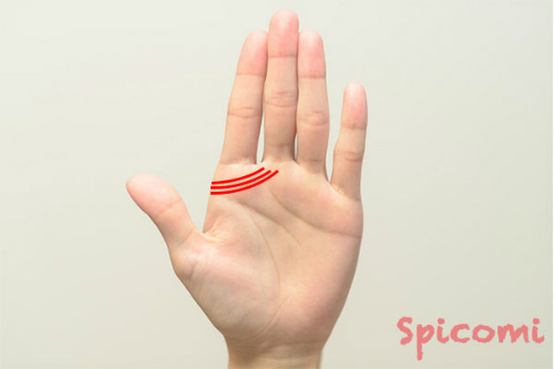 千金紋（成り上がり線）が複数・3本以上ある場合