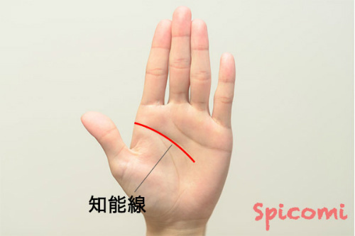 手相占いの知能線（頭脳線）の意味と見方［右手左手両手別］