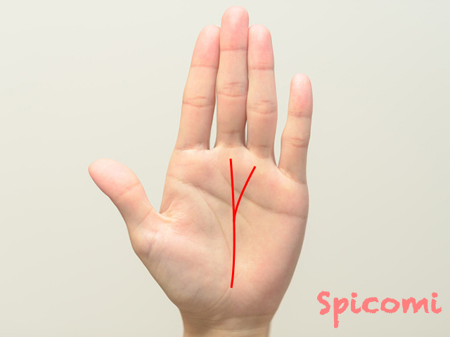 運命線が2本に枝分かれ［手相占い］