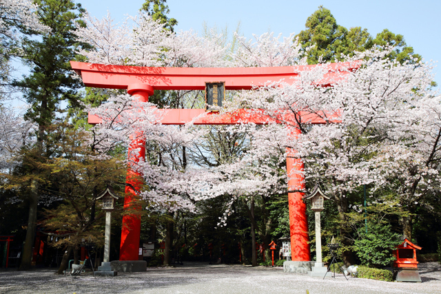 冠稲荷神社［白狐神社］