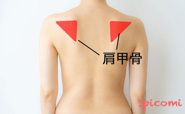 ［ほくろ占い］肩甲骨にあるほくろ