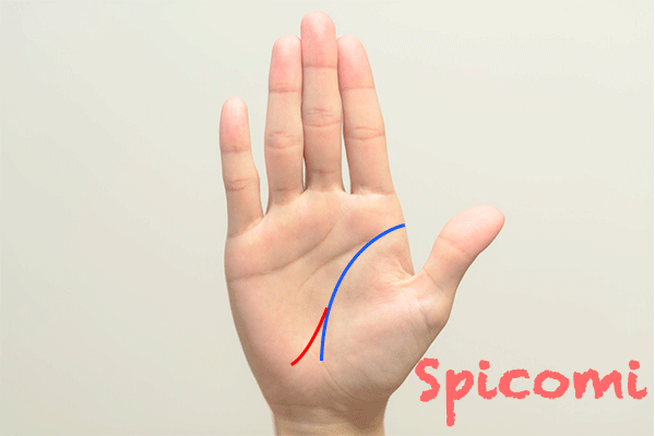 旅行線が右手にある