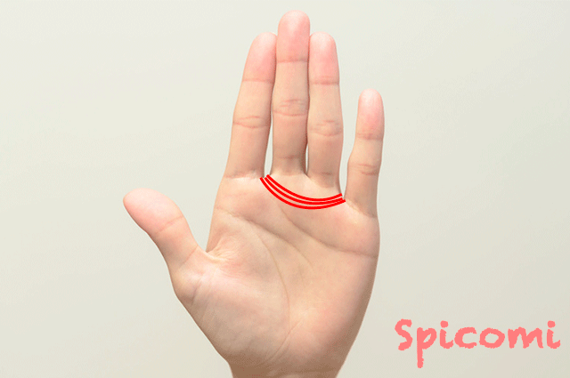 金星帯が三重以上になっている