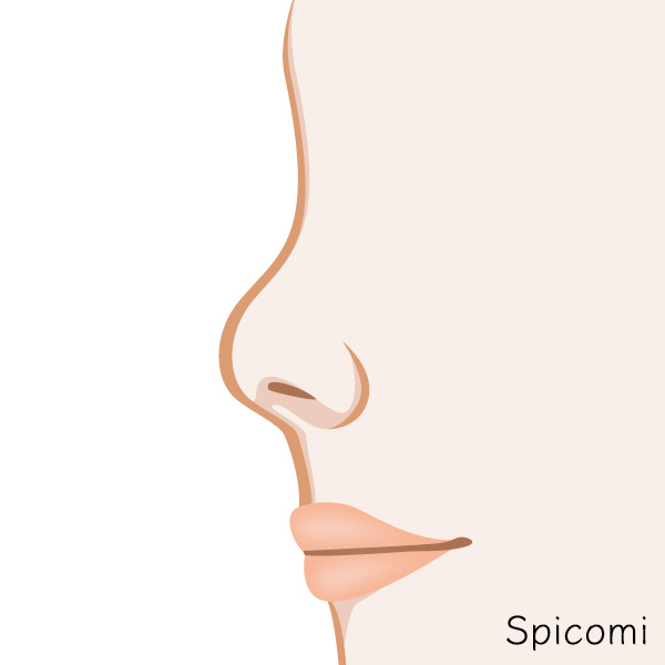 団子鼻［鼻の形の種類診断］