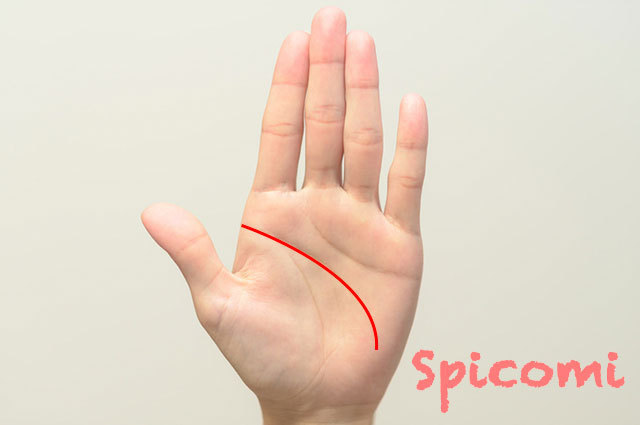 知能線が月丘下部に向かって長く下がっている