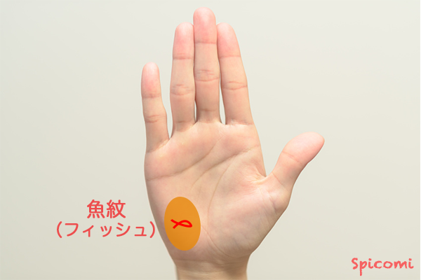 ［手相占い］月丘にフィッシュ（魚紋）がある