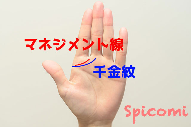 マネジメント線と千金紋の違い