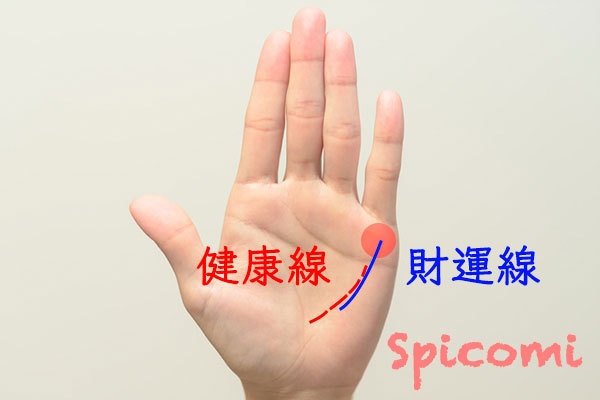 健康線と財運線の違いと見分け方