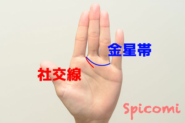 社交線と金星帯の違い