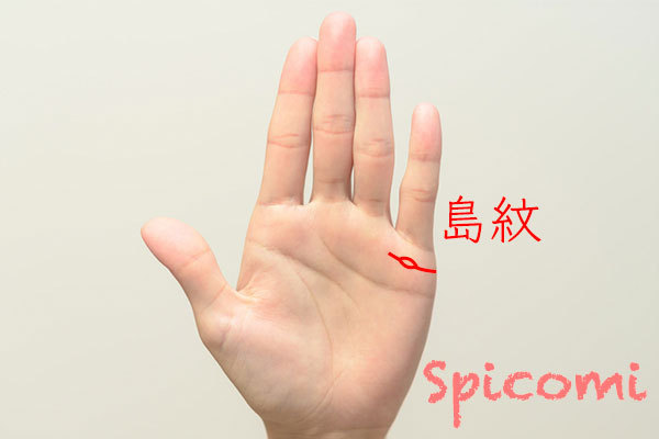 結婚線のフィッシュと島紋の違い