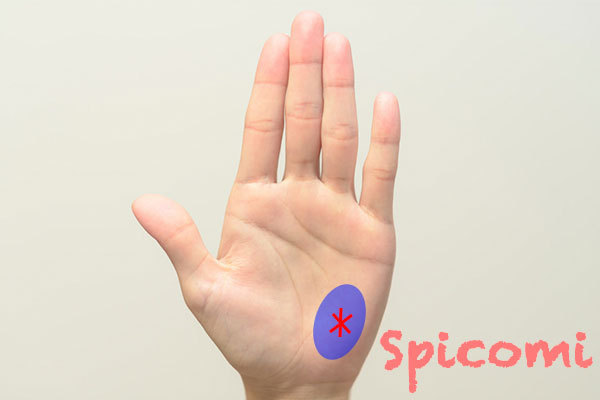 月丘にスター線がある