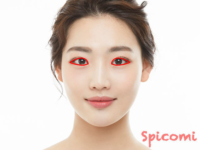 目元がクール［浮気女の顔］