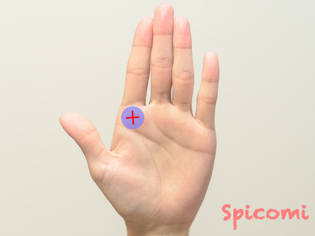 人差し指の下(木星丘)の十字線・バツ・クロス