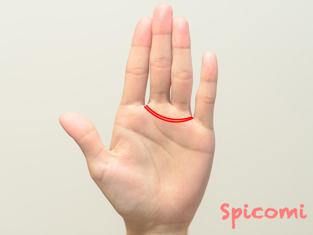 金星帯が二重・2本