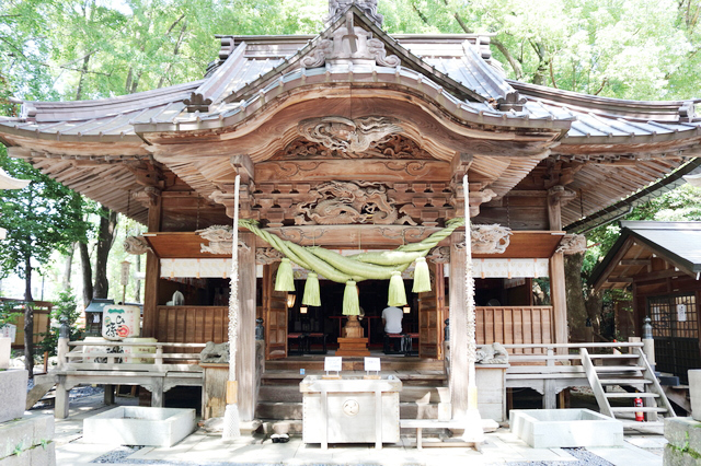 龍神がいる神社［田無神社］