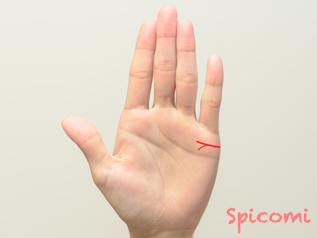 結婚線の枝分かれの意味は死別？独身？離婚？