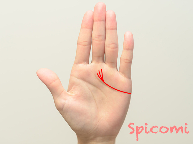 感情線が三股に枝分かれして中指に伸びる線の意味