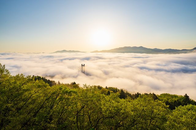 呪われた時の対処法・解き方5個