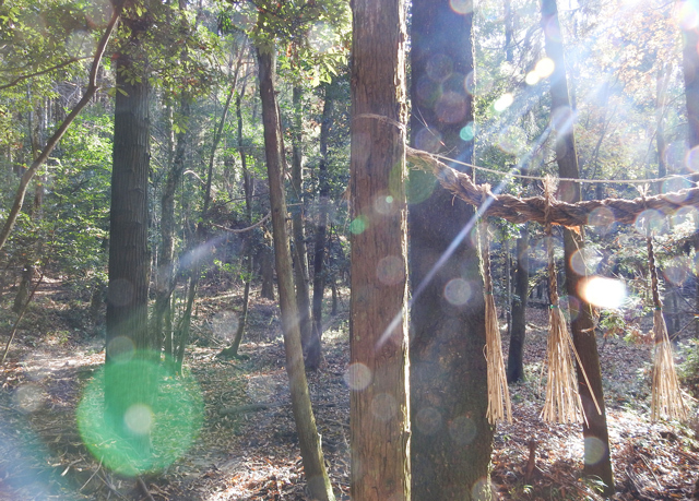神社でオーブが写る意味