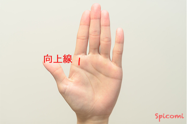 ［手相占い］人差し指の下にある縦線「向上線」