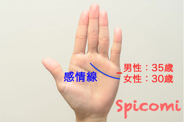 結婚線の流年法の見方