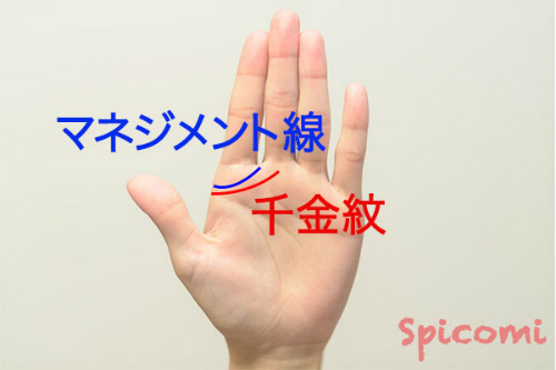 千金紋（成り上がり線）とマネジメント線の違い