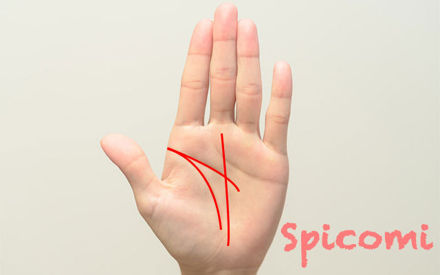 幸せになる男性の手相の特徴