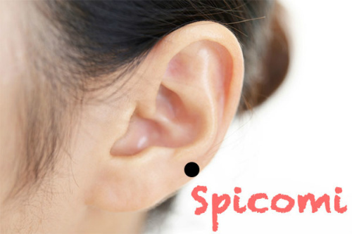 耳廓近くの［地輪］にあるほくろの意味