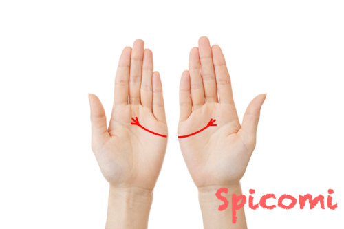 両手にあげまん線がある