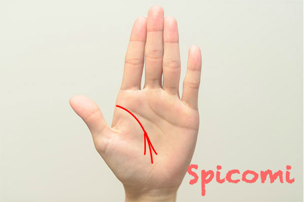 生命線が3本に枝分かれしている