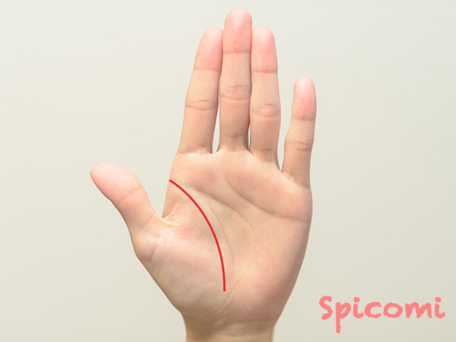 3. 生命線の張り出しが少ない