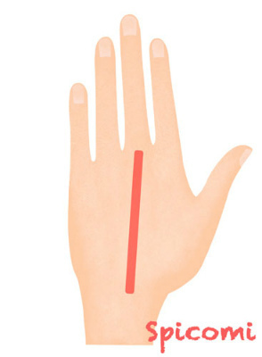 ［ほくろ占い］手の甲で左手中指の延長線上にあるほくろ