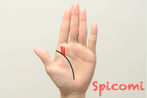 向上線が3本以上で複数ある・多い