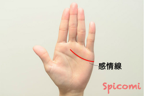手相占いの感情線の意味と見方［右手左手両手別］