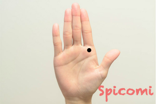 右手人差し指の付け根（木星丘）のほくろ