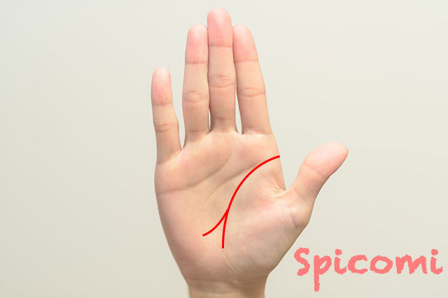 右手の生命線が二股に分かれる