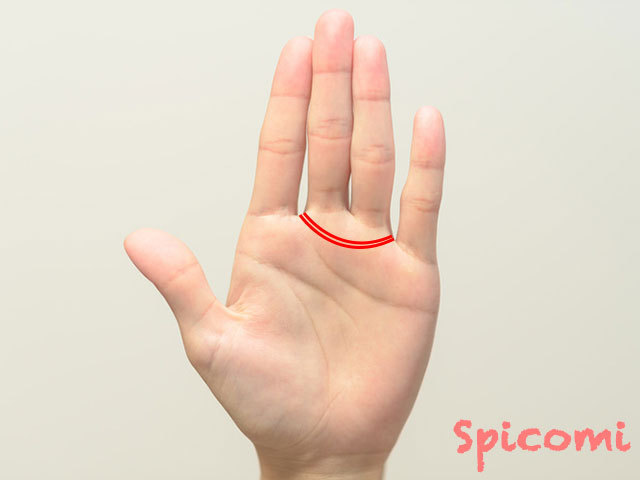 ハッキリとした二重金星帯