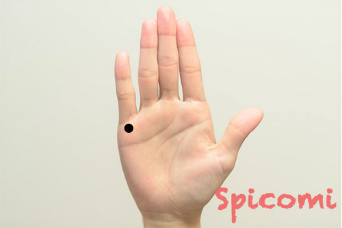 右手小指の付け根（水星丘）のほくろ